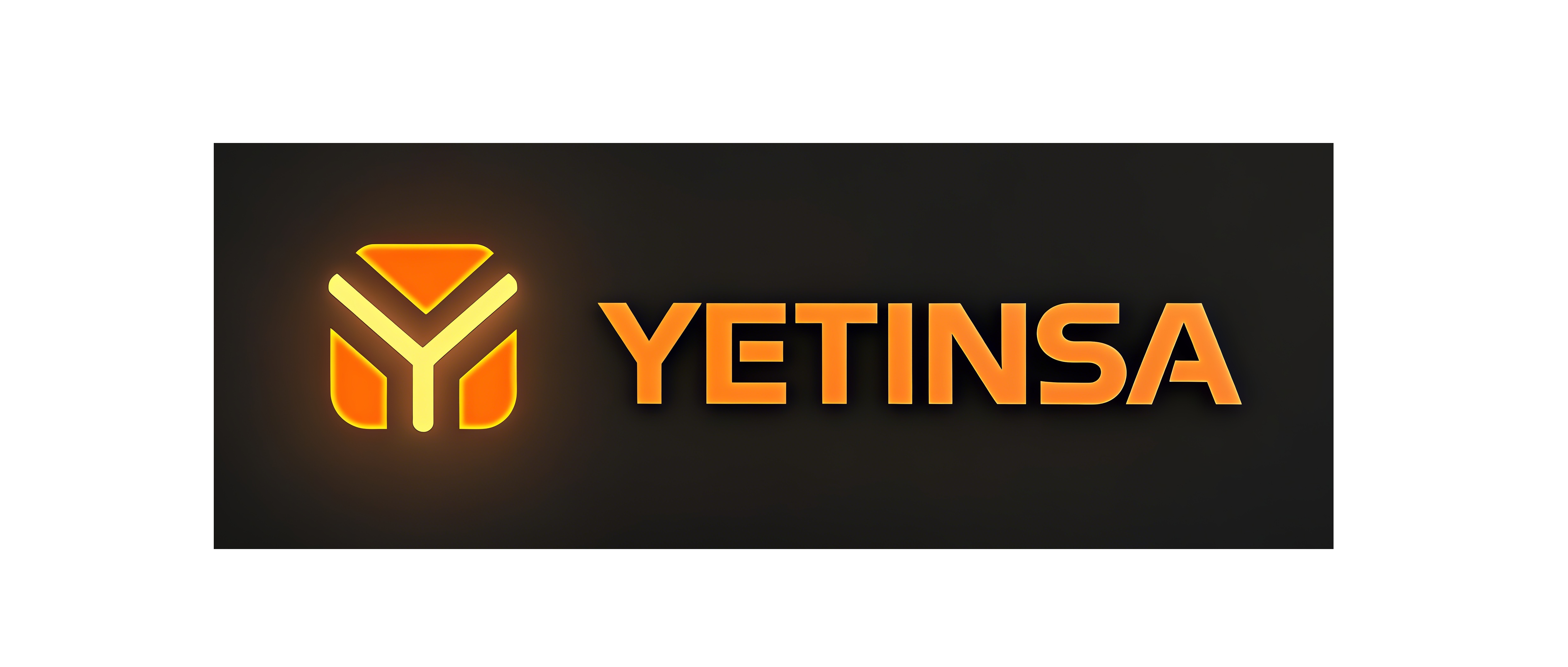 YETINSA logo